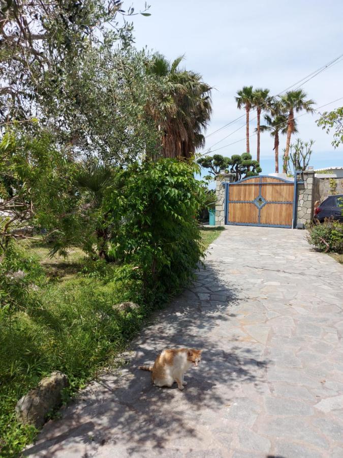 Villa Symphony Sea View Forio di Ischia Eksteriør bilde