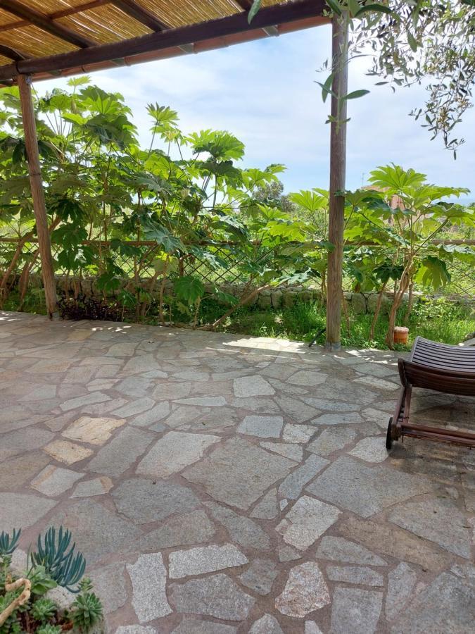 Villa Symphony Sea View Forio di Ischia Eksteriør bilde