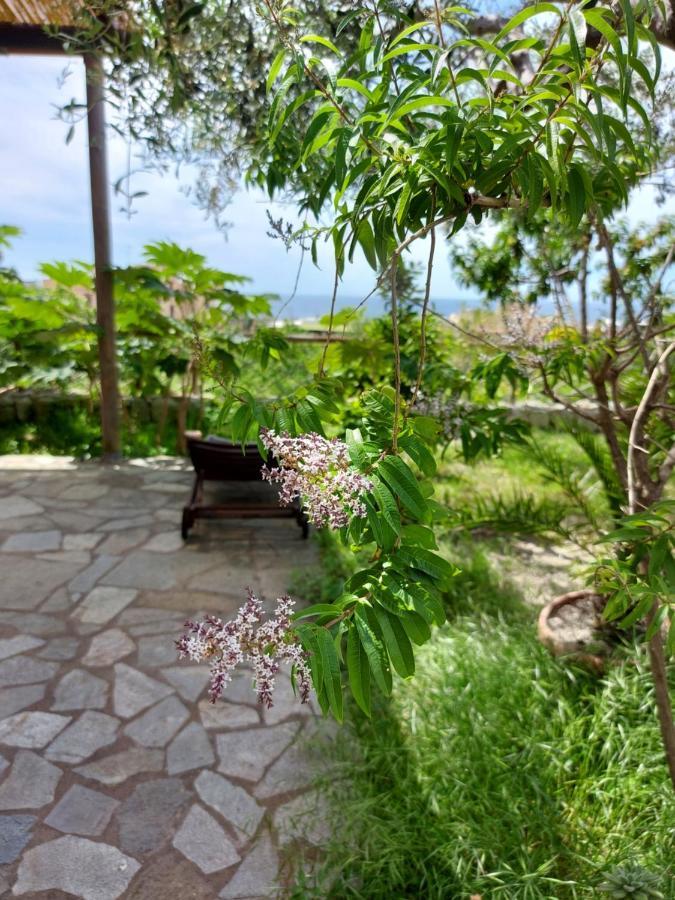 Villa Symphony Sea View Forio di Ischia Eksteriør bilde
