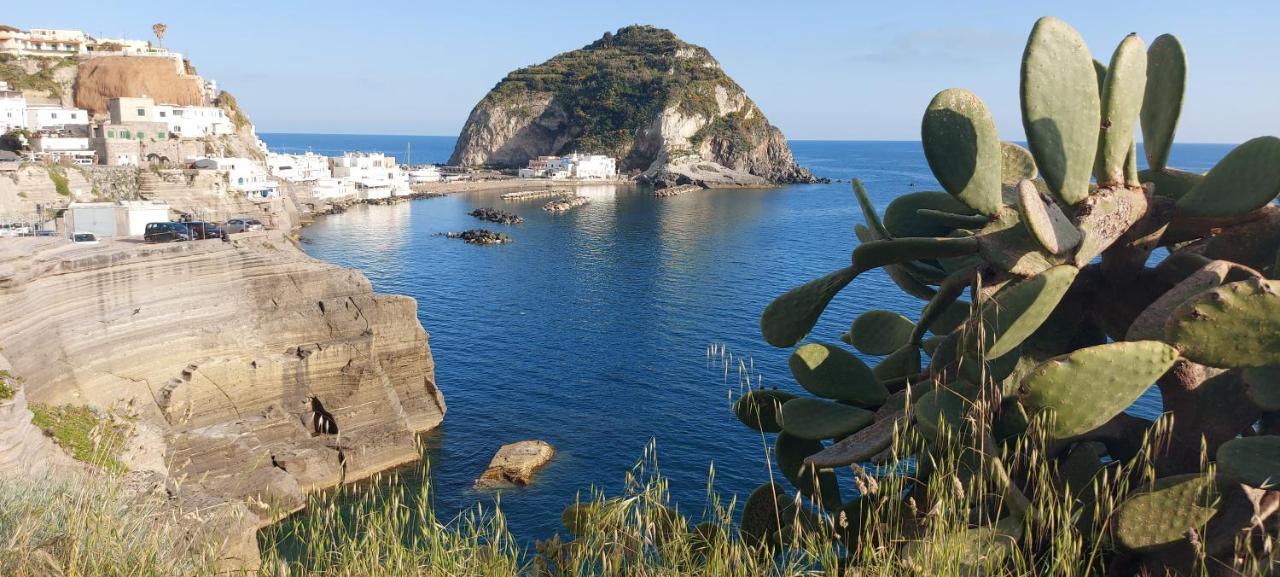 Villa Symphony Sea View Forio di Ischia Eksteriør bilde