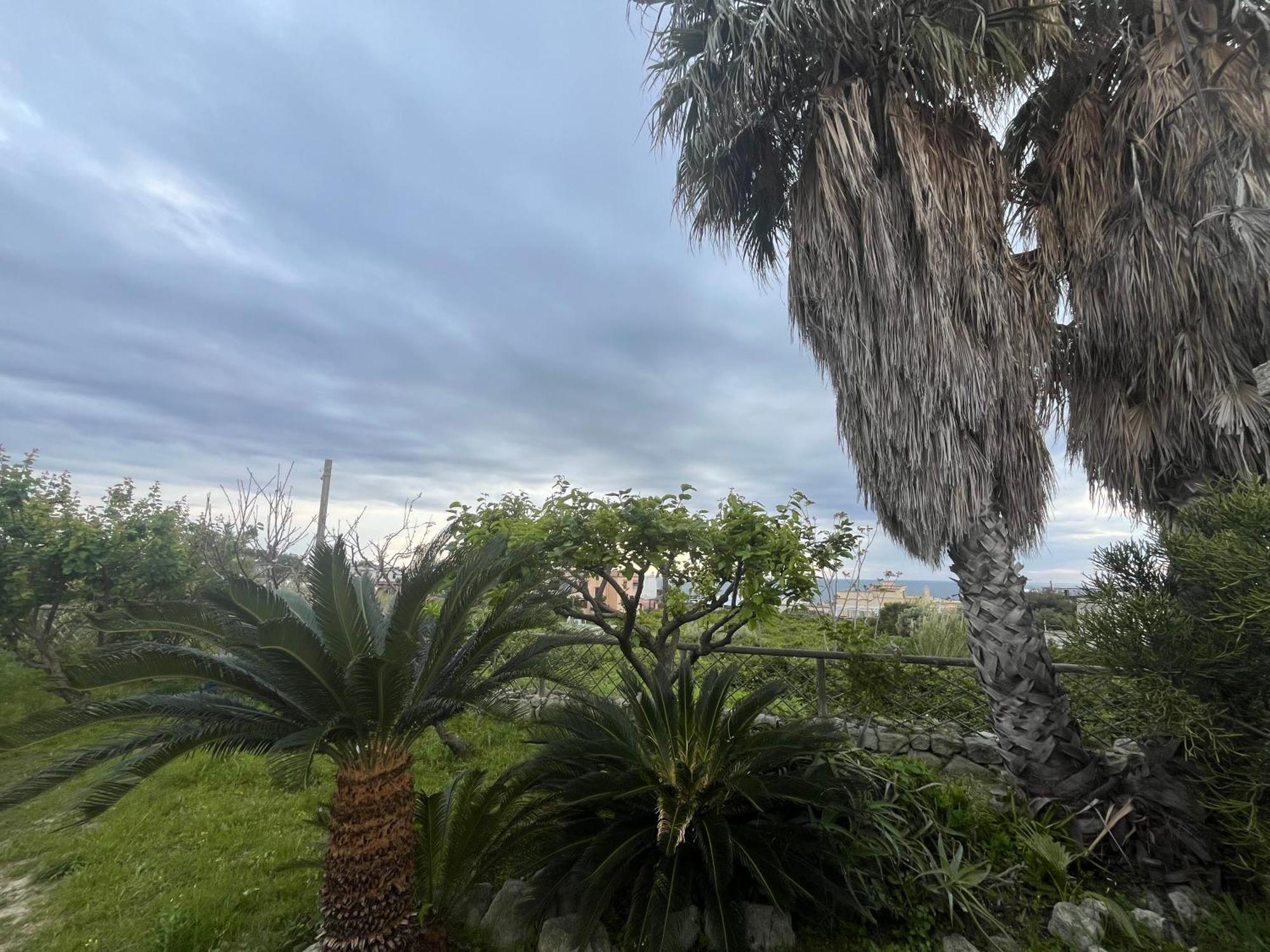 Villa Symphony Sea View Forio di Ischia Eksteriør bilde