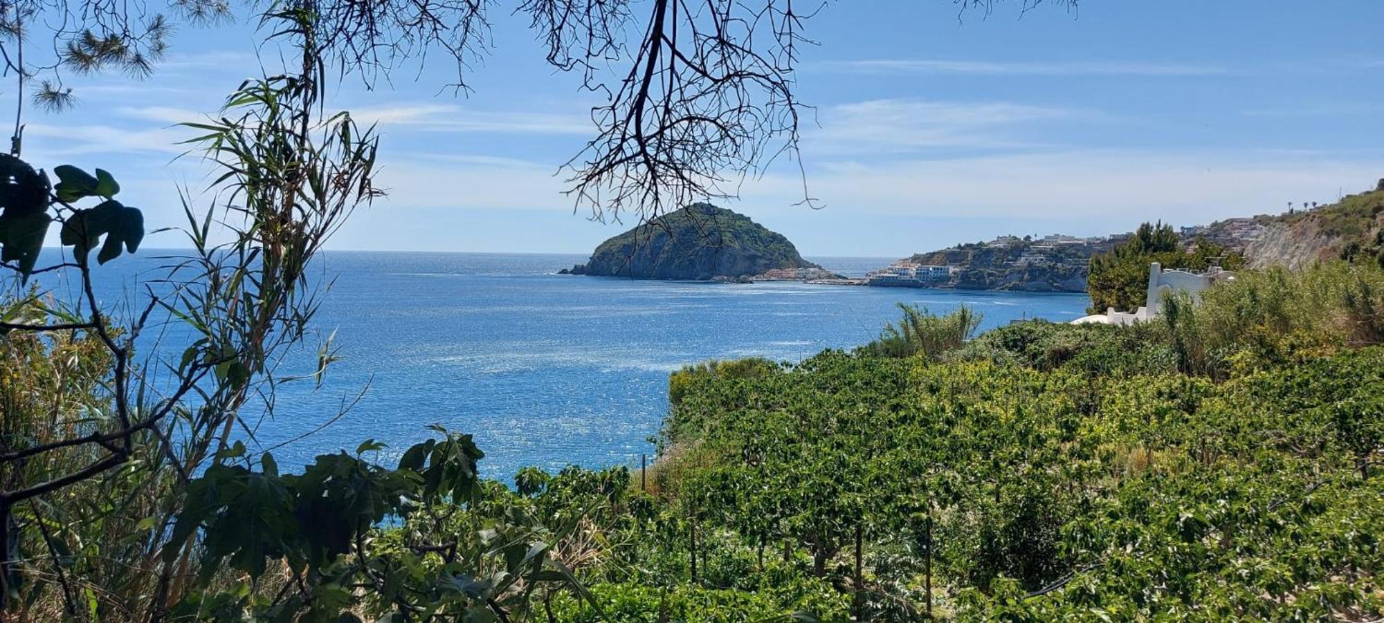 Villa Symphony Sea View Forio di Ischia Eksteriør bilde