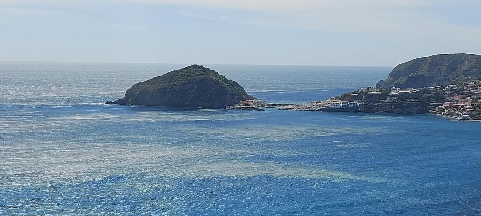 Villa Symphony Sea View Forio di Ischia Eksteriør bilde
