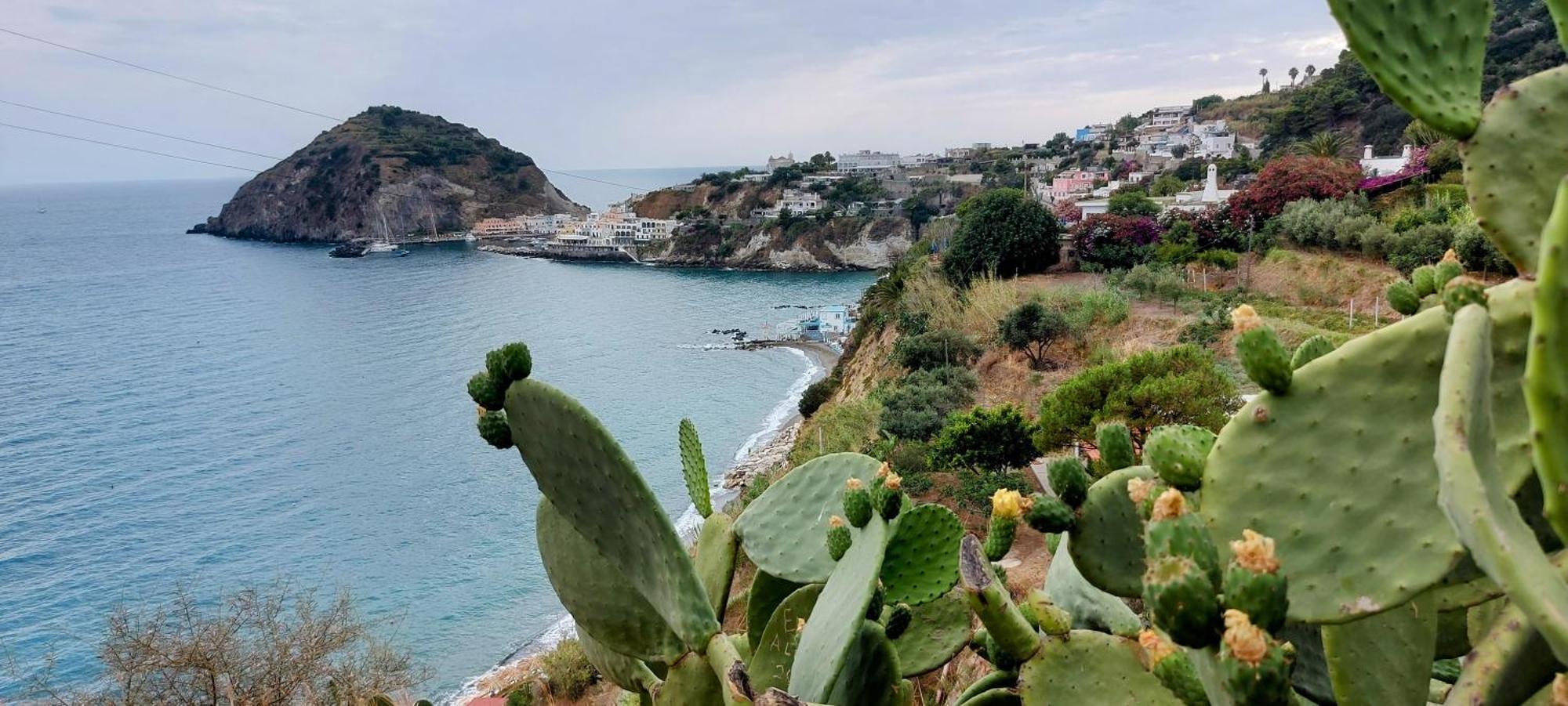 Villa Symphony Sea View Forio di Ischia Eksteriør bilde